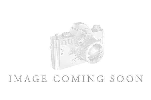 E239-90096: LDS WED RG 3.00 TW